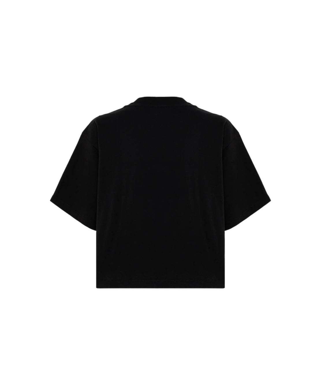 TSYW 596NNERA_1_P